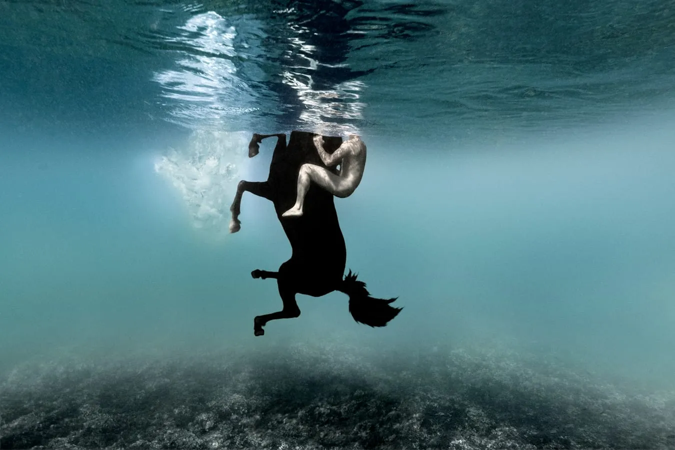 Isabel Muñoz : Somos Agua