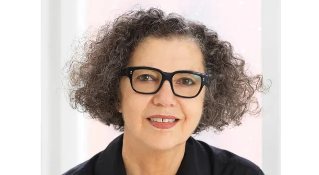 Mona Hatoum · Web