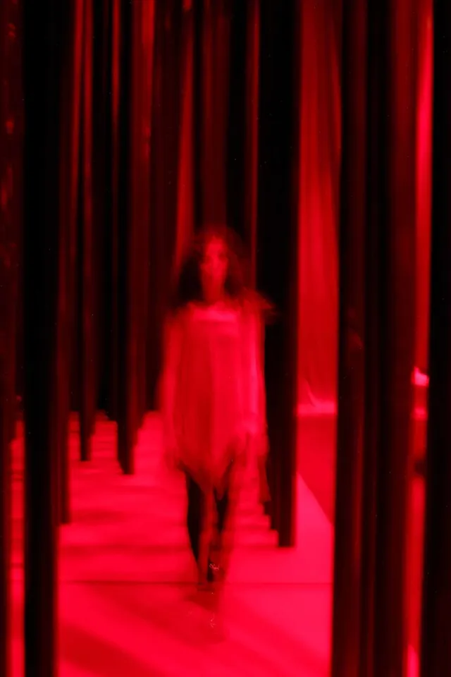Salma, mon amour — Ahmed El Attar