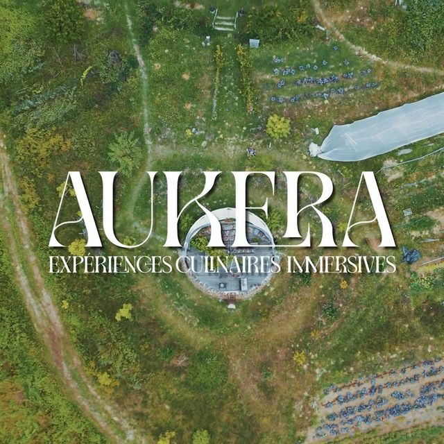 Aukera — Pho et usage de faux